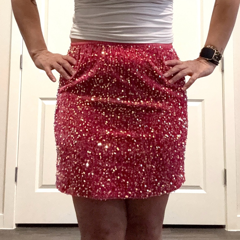 Sequin Embellished Pink Skirt